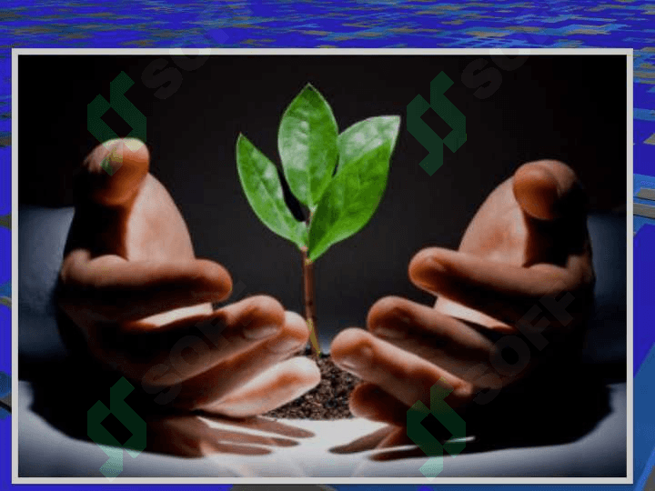 Biosfera, global eko tizim 4