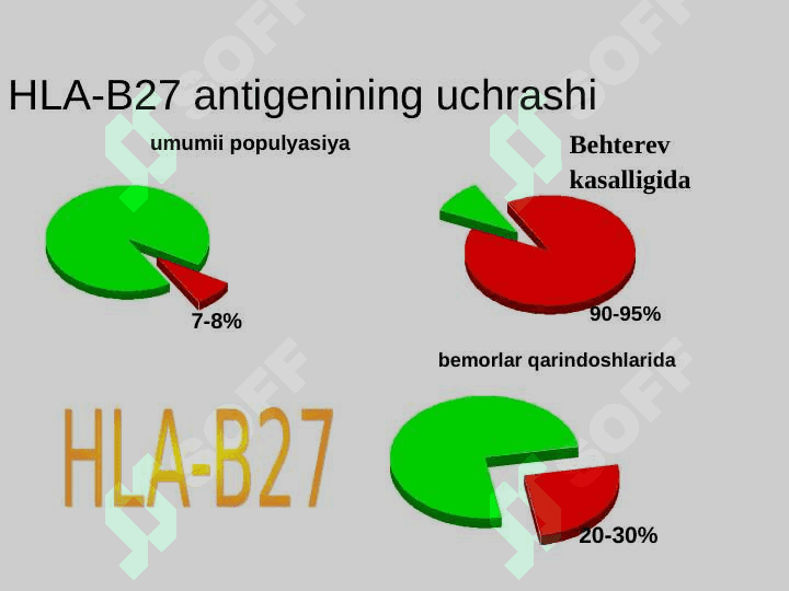 Seronegativ spondiloartritlar 8