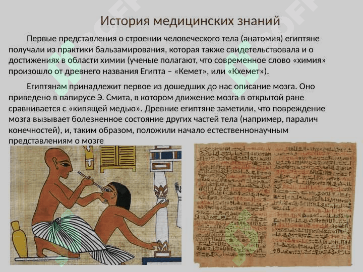 Медицина в древнем Египте. история медицины 3