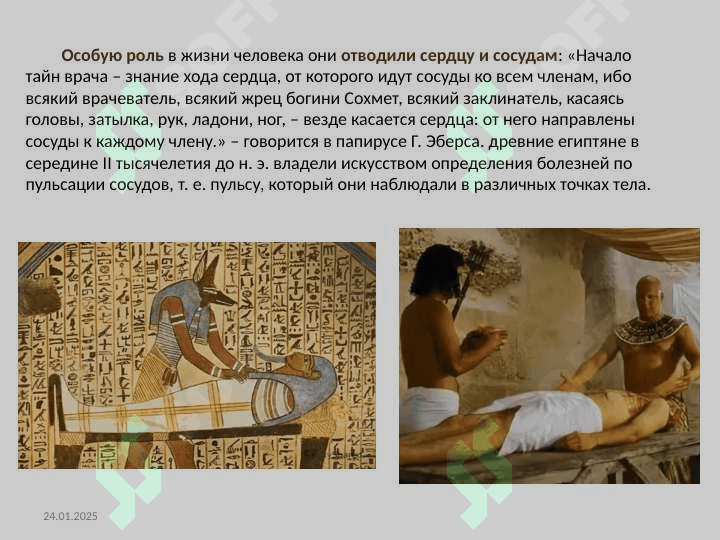 Медицина в древнем Египте. история медицины 4