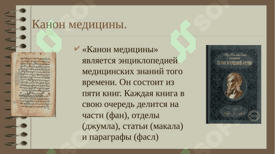 Ибн Сина (Авиценна) «Канон медицины» («Канон врачебной науки») 7