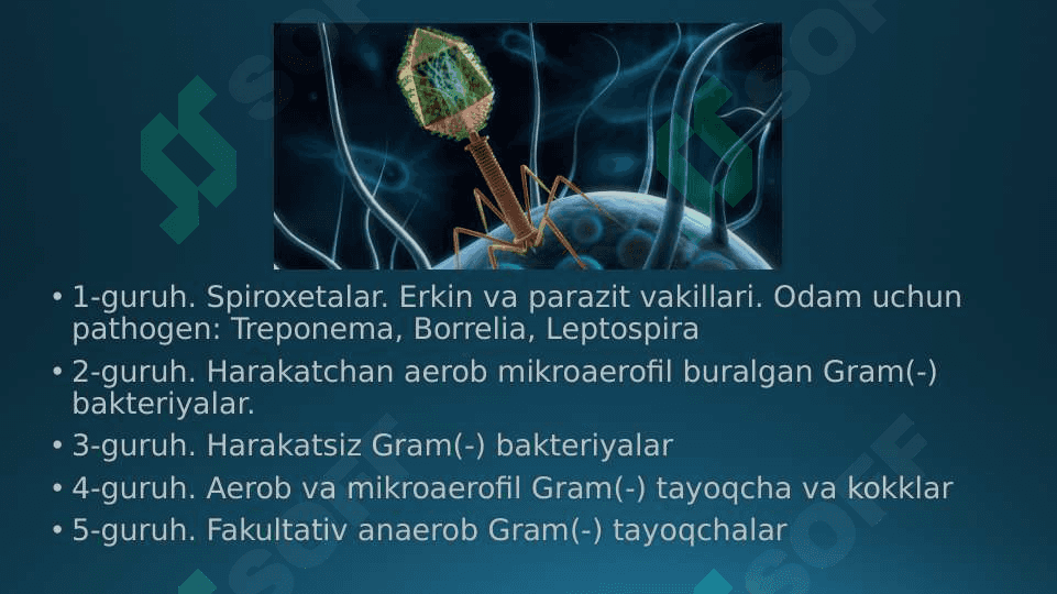Bakteriyalarning “Berji “ aniqlagichi. Prionlar, ularning tibbiyotdagi o’rni 6
