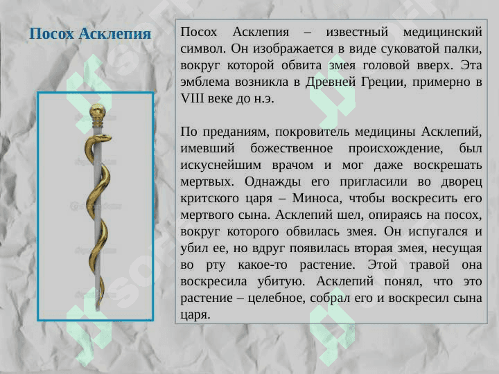Эмблемы  и символы медицины 4