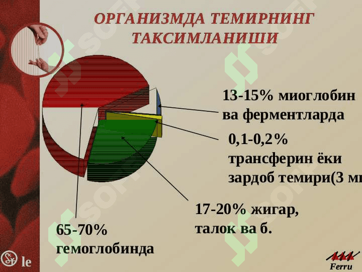 Камконлик турлари  ва сабаблари.  Kamkonlik turlari  va sabablari 8