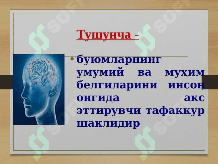 Falsafa fanidan: Tafakkur shakllari: tushuncha, hukm, xulosa 3
