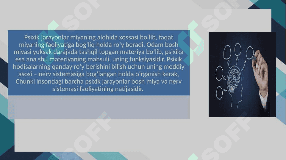 PSIXIK XUSUSIYAT VA HOLATLARINING NEYROPSIXOLOGIK ASOSLARI 4
