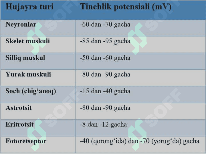 Membrana potensiallari 4