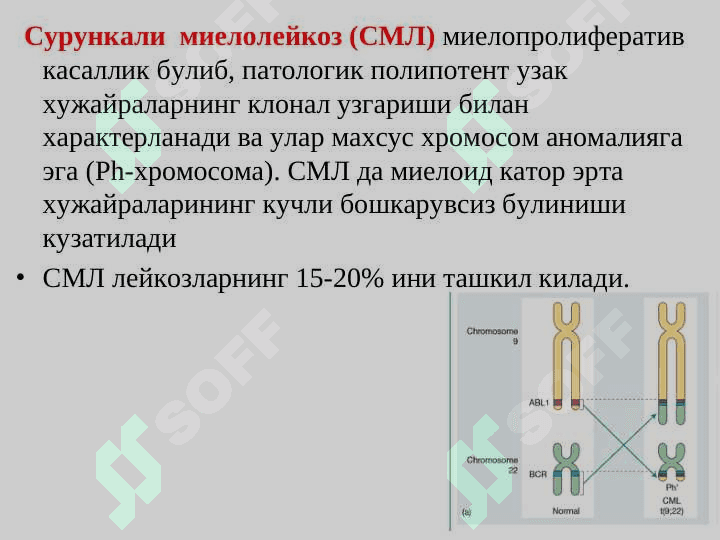 Surunkali leykozlar . Сурункали лейкозлар 5