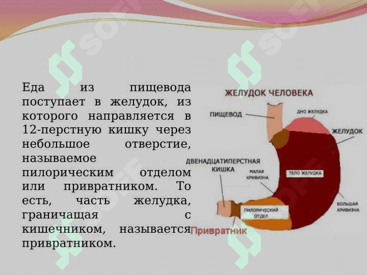 Пилороспазм у детей 2
