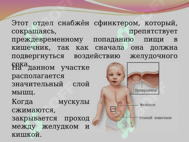 Пилороспазм у детей 3