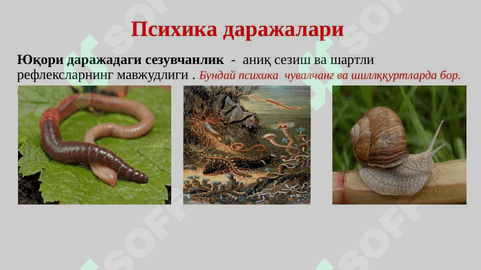 Онг хакида психологик карашлар 7