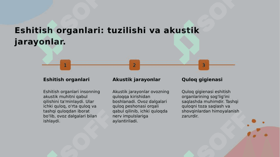 KO'RISH VA ESHITISH ORGANLARINING XUSUSIYATI VA GIGIVENASI. YAQINDAN KORISH VA UNI OLDINI OLISH 4
