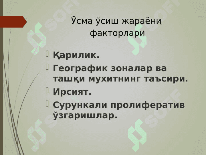 ЎСМАЛАР. O'smalar 4
