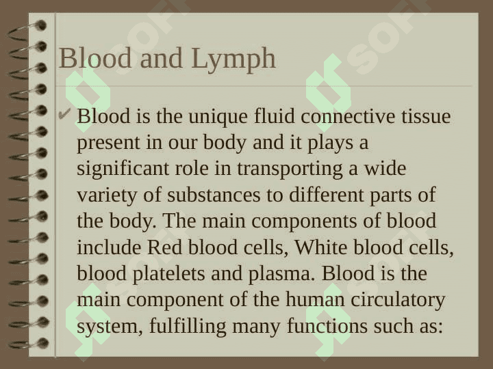 Blood and Lymph 2