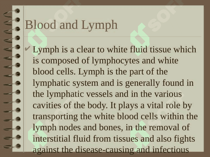 Blood and Lymph 3