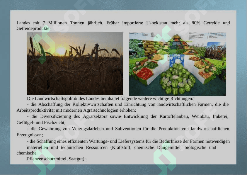 landwirtschaft  in  USBEKISTAN 3