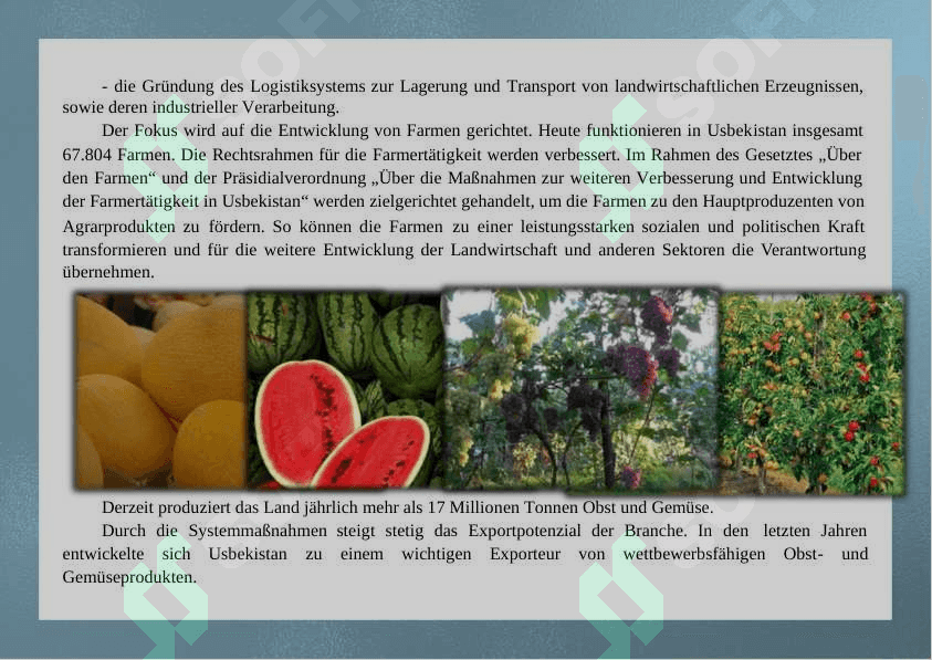 landwirtschaft  in  USBEKISTAN 4