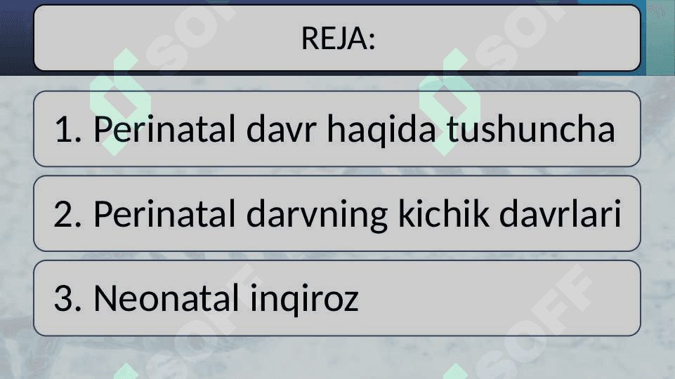 PERINATAL DAVR 2