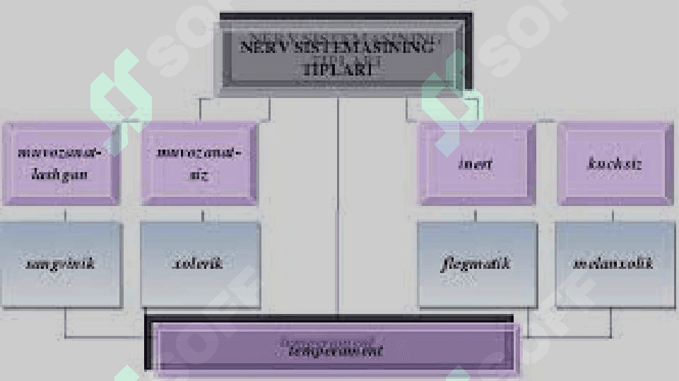 temperament tiplarini baholash 23.pptx 7