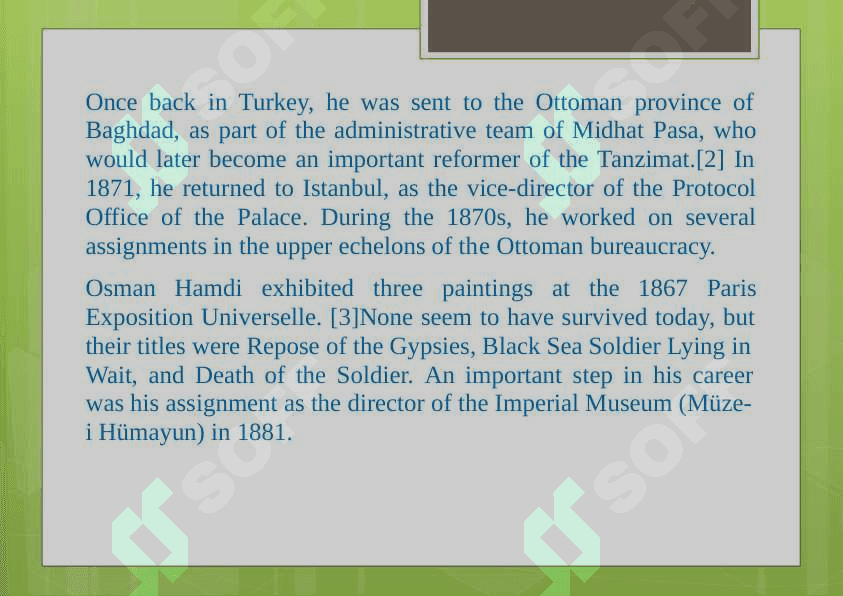 turkey painter 4