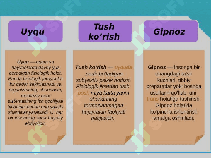 UYQU  BUZILISHLARI  20.pptx 2