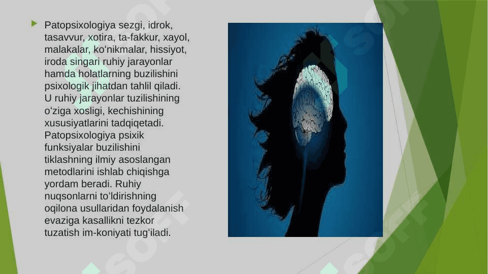 PATAPSIXOLOGIYANING PSIXATRIYA BILAN MUNOSABATI 20.pptx 6