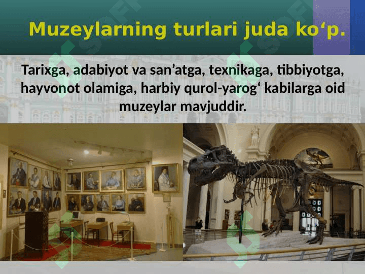 Muzeylar 4