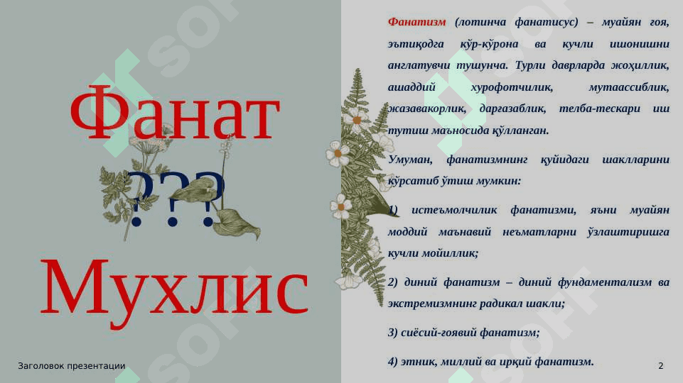 Фанатик хатти-ҳаракатларнинг ёшлар онгига салбий таъсири 2