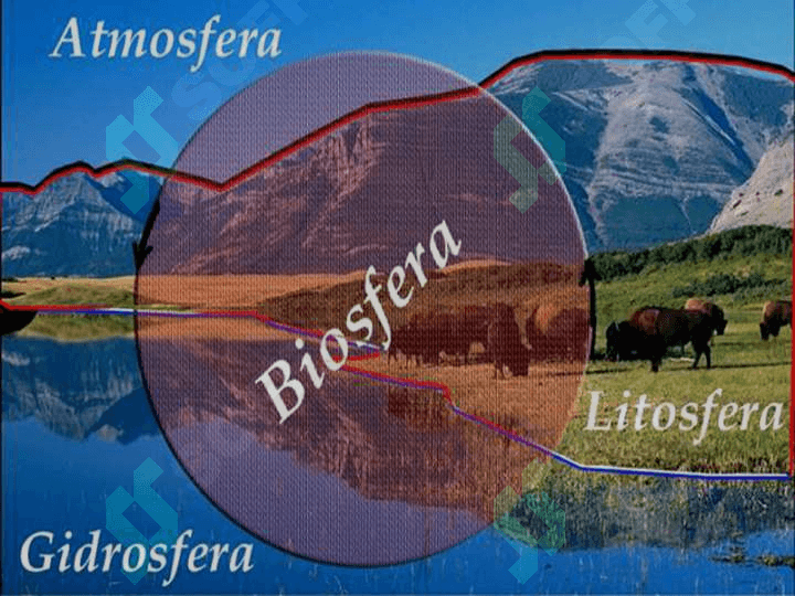 Geografik  qobiq va  va tabiat komplekslari 5