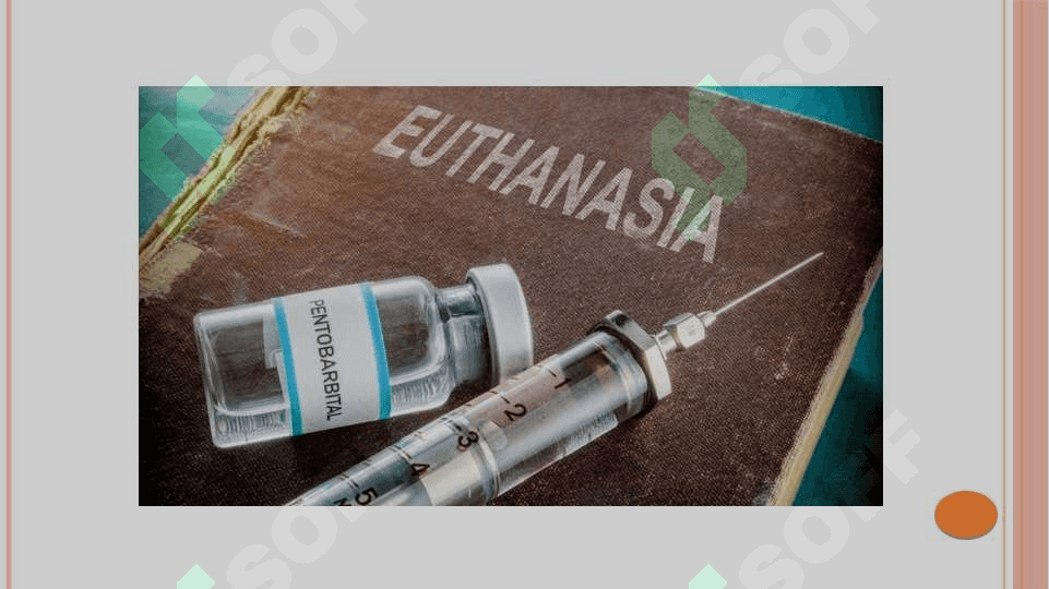 SUITSID – AKTIV EVTANAZIYANING KO`RINISHI SIFATIDA 3