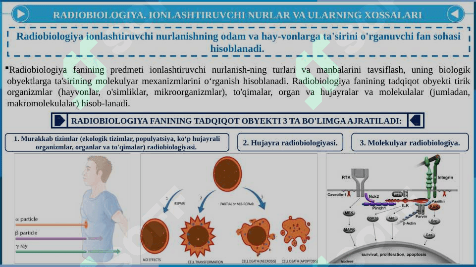 Ionlashtiruvchi nurlarning hujayraga ta'siri 4