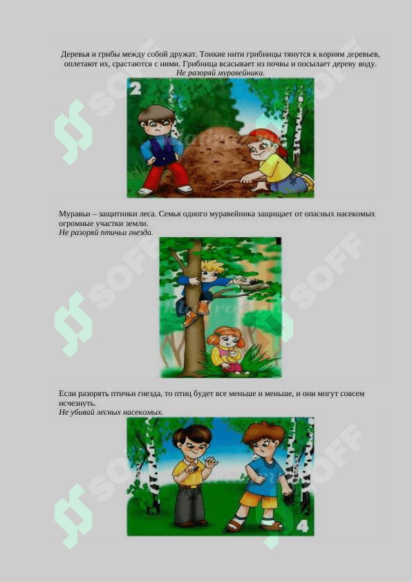 Природа в опасности. Охрана природы 3