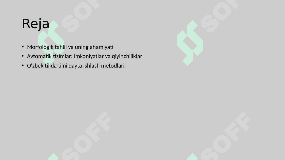 Morfologik tahlilning avtomatik tizimi 2