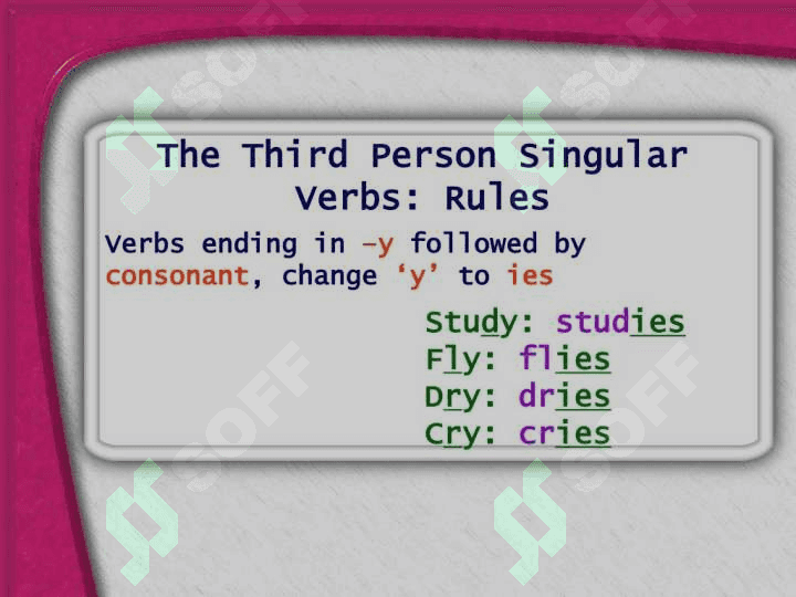 the simple present tence 4