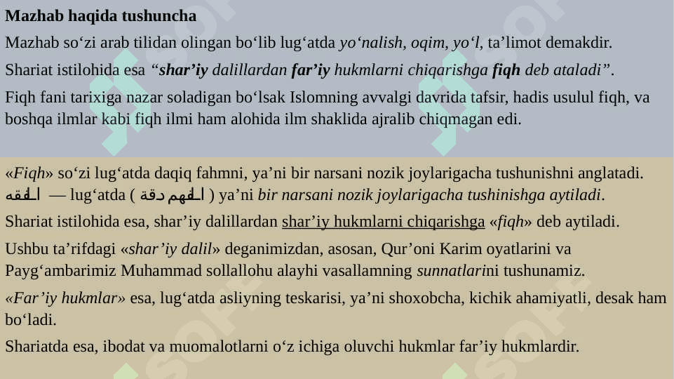 Islom fiqhiy maktablari 3