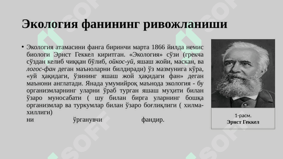 Экология ва унинг ривожланиши 4