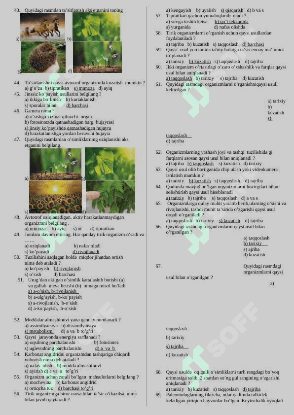 MAVZULASHTIRILGAN TESTLAR TO’PLAMI 4