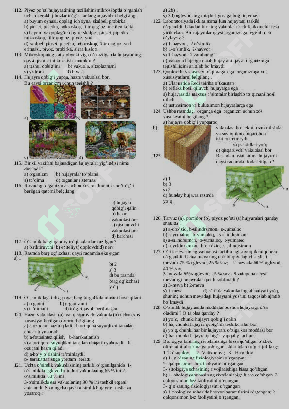 MAVZULASHTIRILGAN TESTLAR TO’PLAMI 7