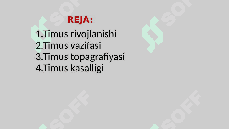Timus tuzilishi, rivojlanishi, vazifalari 2