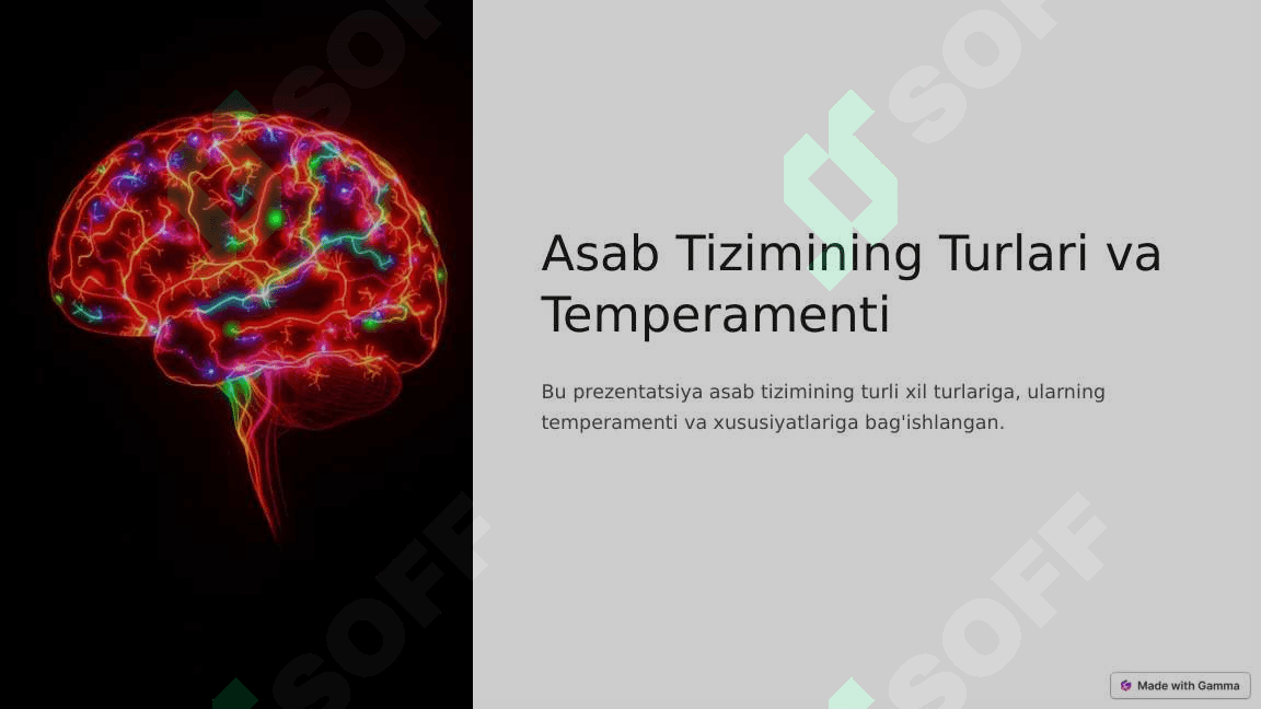 Asab Tizimining Turlari va Temperamenti 3