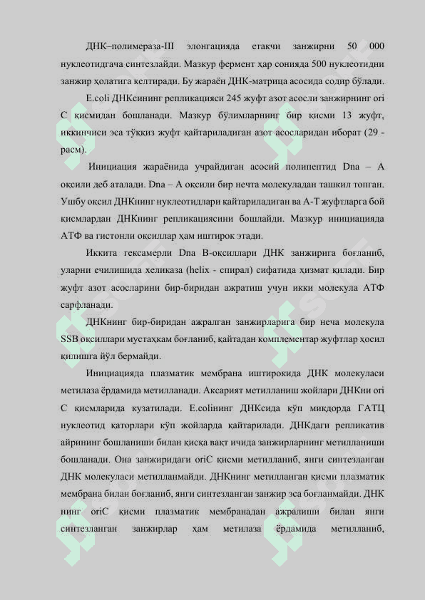 ДНК РЕПЛИКАЦИЯСИ 7