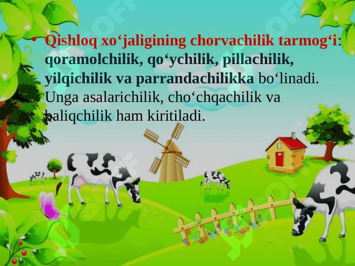 CHORVACHILIK 2