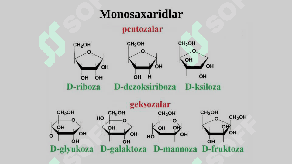 Uglevodlar, Lipidlar,  Fermentlar, 5