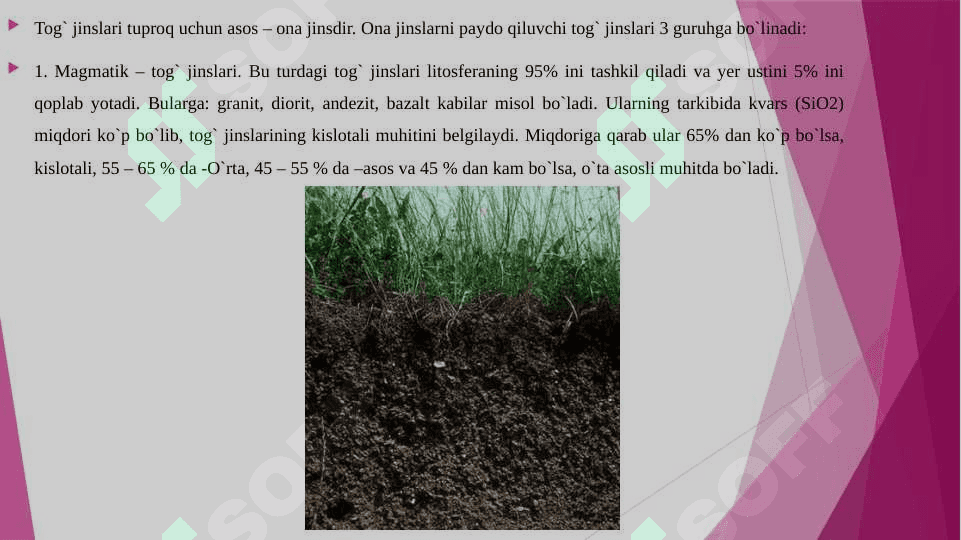 TUPROQ HOSIL QILUVCHI G'OVAKSIMON NURASH MAHSULOTLARI 3