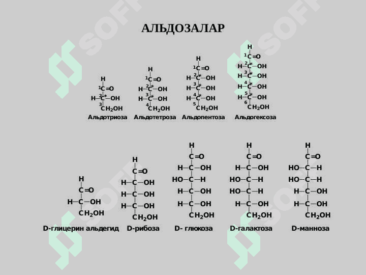 Uglevodlar. Nuklein kislotalar. Fermentlar. Lipid va lipoidlar 6