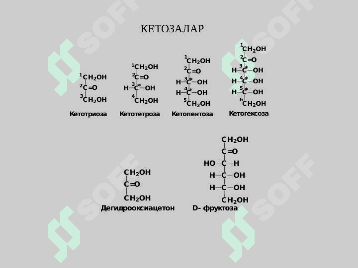 Uglevodlar. Nuklein kislotalar. Fermentlar. Lipid va lipoidlar 7