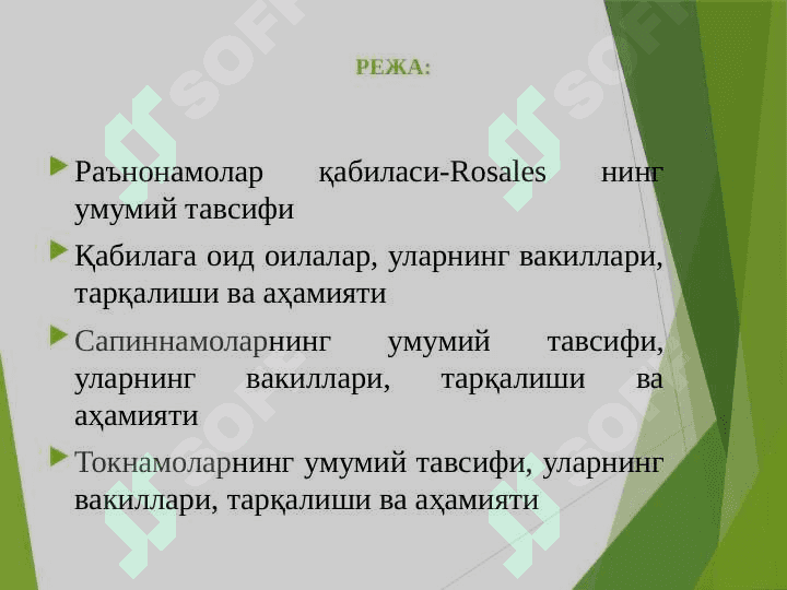 Раънонамолар қабиласи-Rosales 2