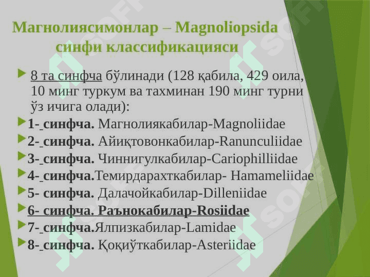 Раънонамолар қабиласи-Rosales 3