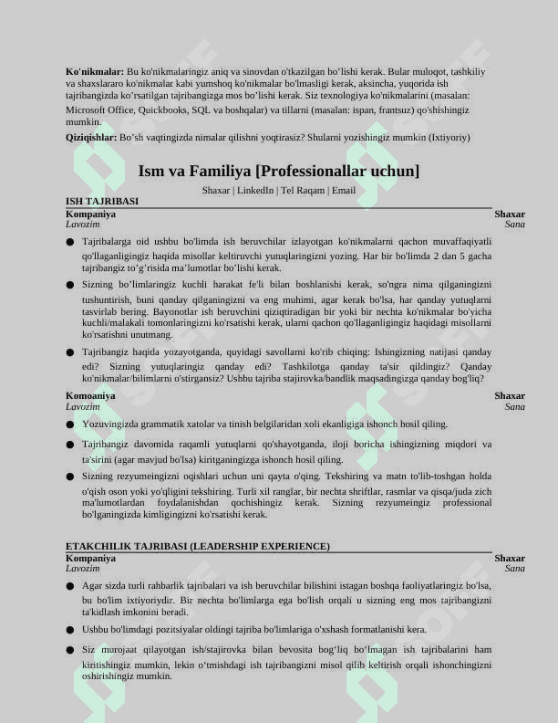 Resume uchun shablon 2