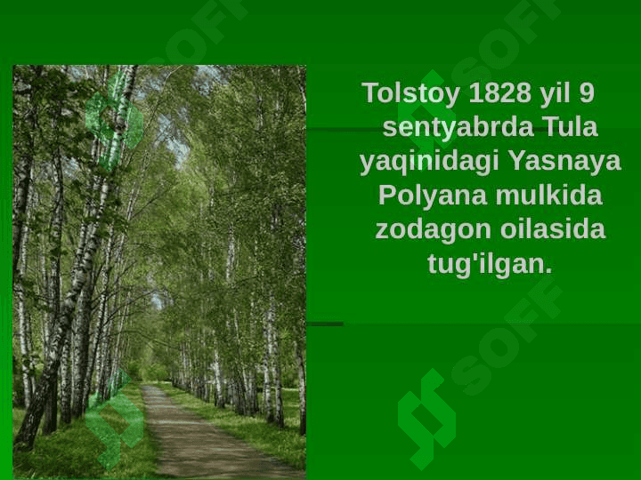 Lev Nikolaevich Tolstoy 2